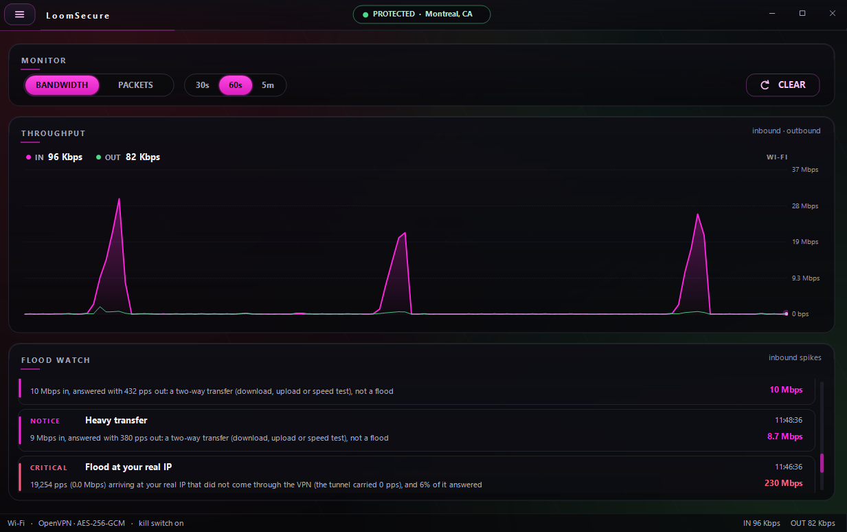 Monitor screen with a bandwidth graph of inbound spikes and a Flood Watch panel classifying events: two-way transfers marked as not a flood, and a critical alert for a flood at the real IP of 19,254 packets per second.